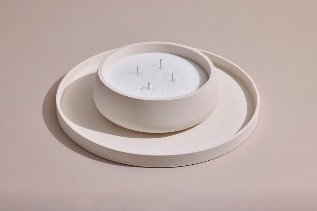ORBITA II (large)